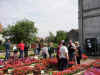 mfO60.JPG (146204 octets)